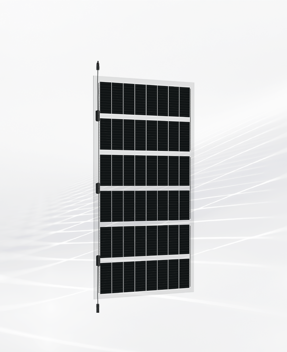 BIPV(Winter garden) MonoPERC Solar Panels